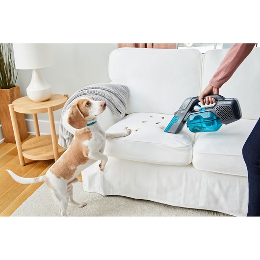BLACKDECKER BHSB315J handheld vacuum cleaning pet paw prints on white sofa in home setting.