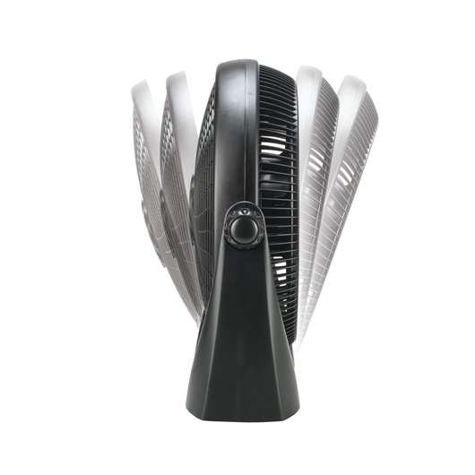 BLACKDECKER FB1620 oscillating black desk fan, side angle, showing adjustable tilt positions on white background.