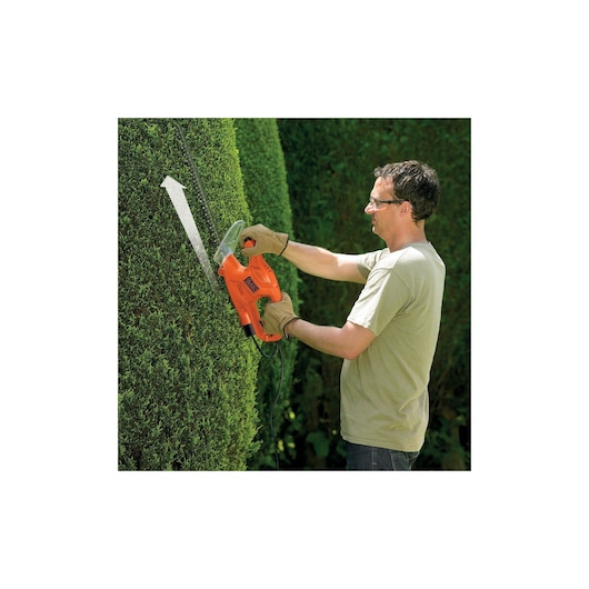 BLACKDECKER GT4245 hedge trimmer used for trimming green hedge outdoors.